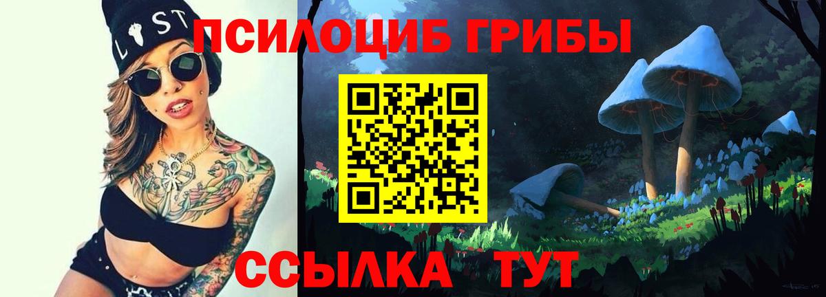 Галлюциногенные грибы прущие грибы Валуйки